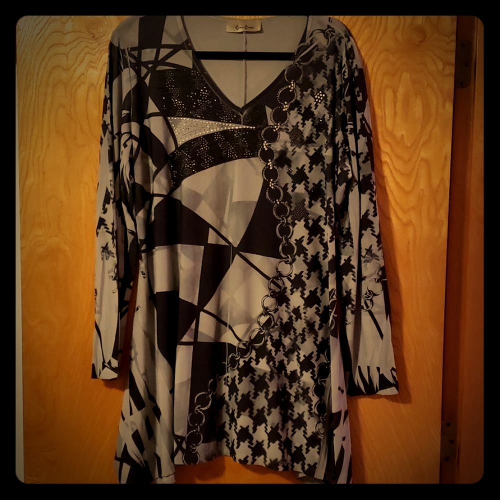 Cover Charge Eloquent Shimmering Tunic